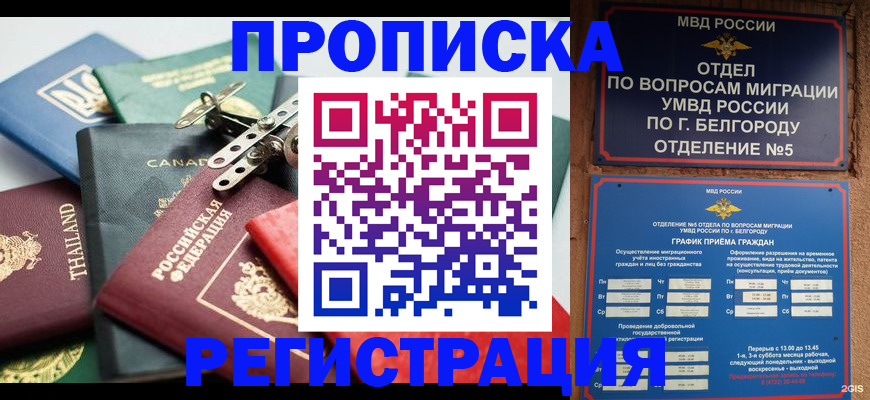 временная регистрация недорого в Снежногорске